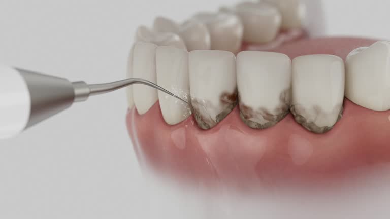 Reliable Dental contractor in Ruston, LA by Dentist Open Now
